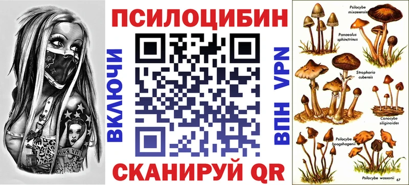 Галлюциногенные грибы прущие грибы  дарк нет какой сайт  Новотитаровская 